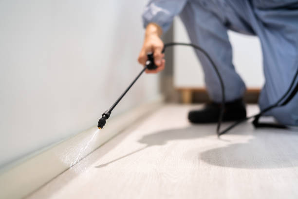 Bed Bug Pre-Treatment Preparation Assessment in Suncook