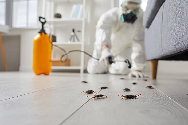 Post-Treatment Bed Bug Interceptor Monitoring in Suncook